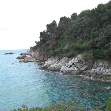 Apartamentos Famara Lloret de Mar Zewnętrze zdjęcie
